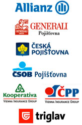 VIP Pojištění vozidel