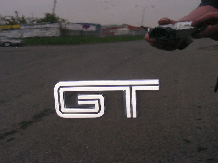 06.JPG